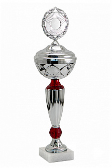 Кубок 001-250-100 КС100 ,37 см