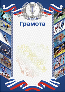 Грамота РФ синяя 2 место