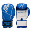 Перчатки бокс Fight Club BG-501FC кожа, сине-белый