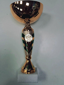 Кубок 587 А h-29 см d-120